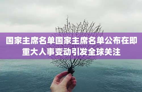 国家主席名单国家主席名单公布在即重大人事变动引发全球关注