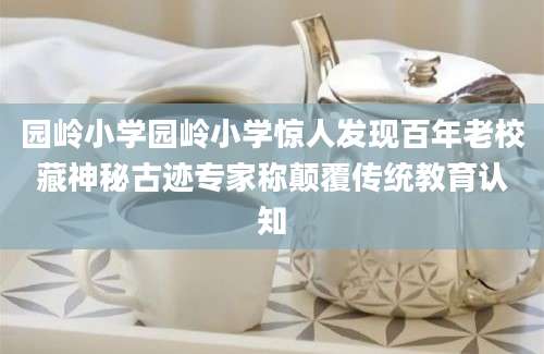 园岭小学园岭小学惊人发现百年老校藏神秘古迹专家称颠覆传统教育认知