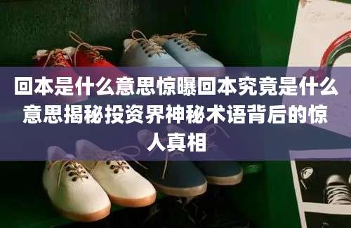 回本是什么意思惊曝回本究竟是什么意思揭秘投资界神秘术语背后的惊人真相