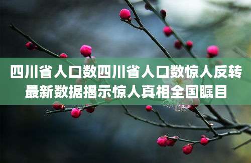四川省人口数四川省人口数惊人反转最新数据揭示惊人真相全国瞩目