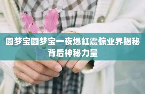 圆梦宝圆梦宝一夜爆红震惊业界揭秘背后神秘力量