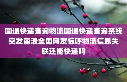 圆通快递查询物流圆通快递查询系统突发崩溃全国网友惊呼物流信息失联还能快递吗