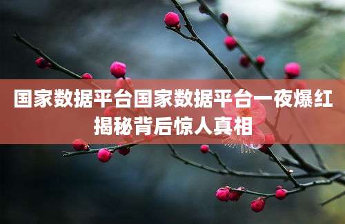 国家数据平台国家数据平台一夜爆红揭秘背后惊人真相