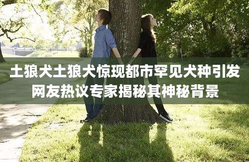 土狼犬土狼犬惊现都市罕见犬种引发网友热议专家揭秘其神秘背景