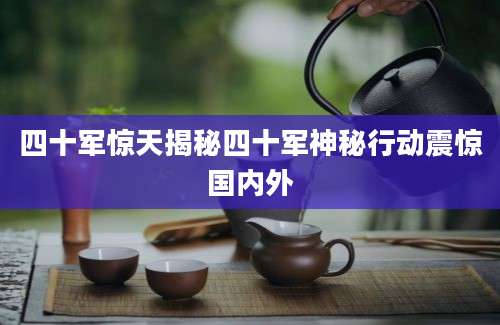 四十军惊天揭秘四十军神秘行动震惊国内外