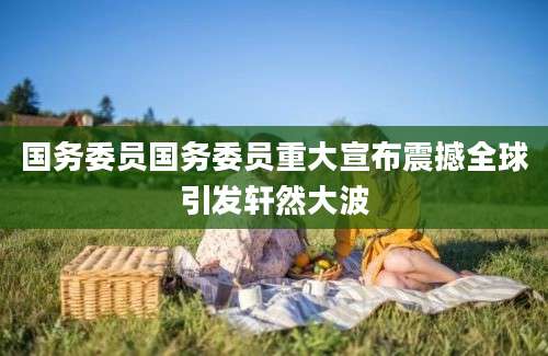 国务委员国务委员重大宣布震撼全球引发轩然大波