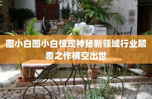 图小白图小白惊现神秘新领域行业颠覆之作横空出世