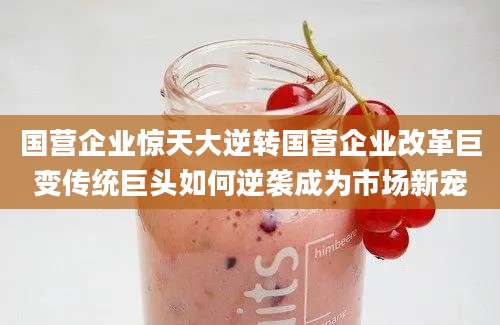 国营企业惊天大逆转国营企业改革巨变传统巨头如何逆袭成为市场新宠