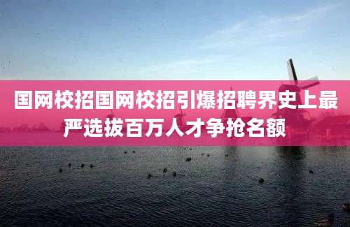 国网校招国网校招引爆招聘界史上最严选拔百万人才争抢名额