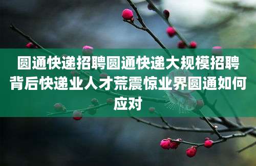 圆通快递招聘圆通快递大规模招聘背后快递业人才荒震惊业界圆通如何应对
