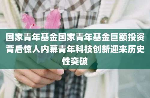 国家青年基金国家青年基金巨额投资背后惊人内幕青年科技创新迎来历史性突破