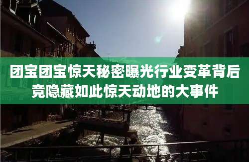 团宝团宝惊天秘密曝光行业变革背后竟隐藏如此惊天动地的大事件