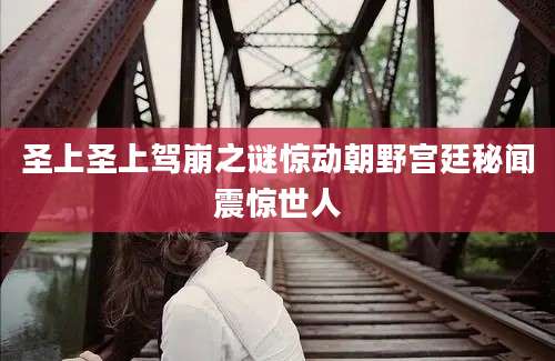 圣上圣上驾崩之谜惊动朝野宫廷秘闻震惊世人