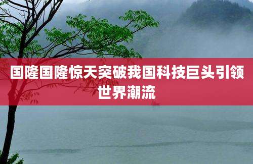 国隆国隆惊天突破我国科技巨头引领世界潮流