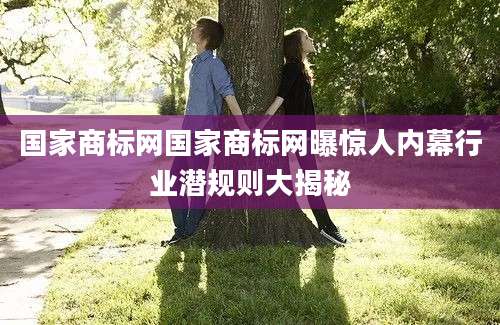 国家商标网国家商标网曝惊人内幕行业潜规则大揭秘