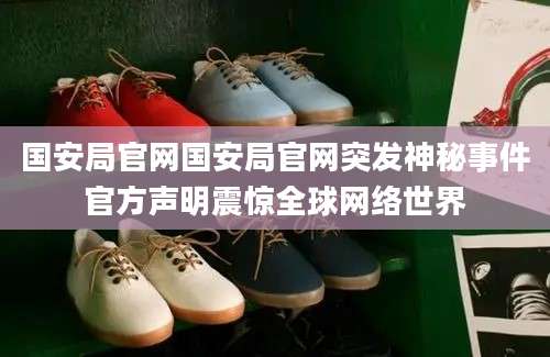 国安局官网国安局官网突发神秘事件官方声明震惊全球网络世界