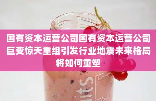 国有资本运营公司国有资本运营公司巨变惊天重组引发行业地震未来格局将如何重塑