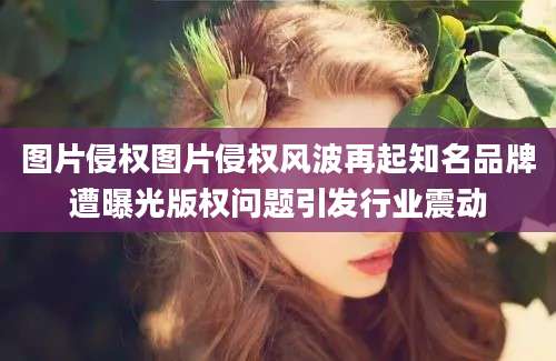 图片侵权图片侵权风波再起知名品牌遭曝光版权问题引发行业震动