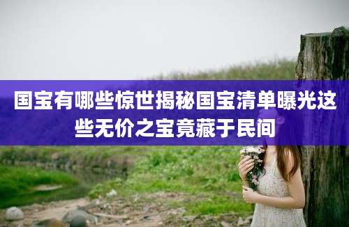 国宝有哪些惊世揭秘国宝清单曝光这些无价之宝竟藏于民间