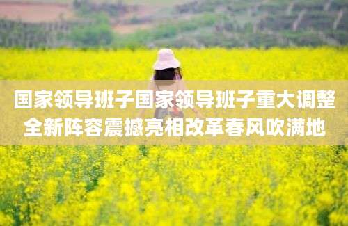 国家领导班子国家领导班子重大调整全新阵容震撼亮相改革春风吹满地