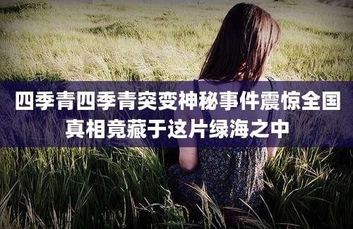 四季青四季青突变神秘事件震惊全国真相竟藏于这片绿海之中