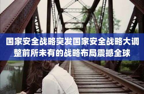 国家安全战略突发国家安全战略大调整前所未有的战略布局震撼全球
