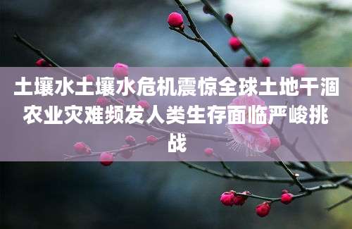 土壤水土壤水危机震惊全球土地干涸农业灾难频发人类生存面临严峻挑战