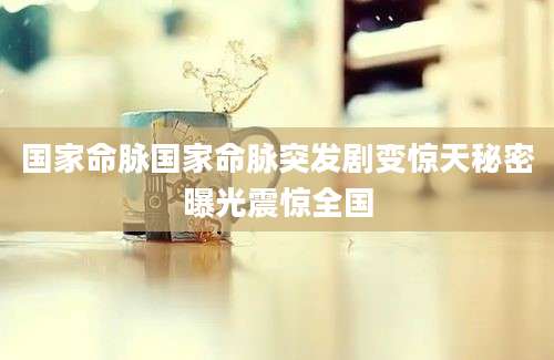 国家命脉国家命脉突发剧变惊天秘密曝光震惊全国