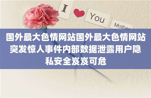 国外最大色情网站国外最大色情网站突发惊人事件内部数据泄露用户隐私安全岌岌可危