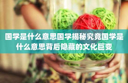国学是什么意思国学揭秘究竟国学是什么意思背后隐藏的文化巨变