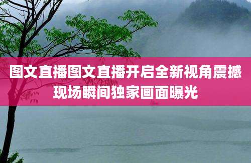 图文直播图文直播开启全新视角震撼现场瞬间独家画面曝光