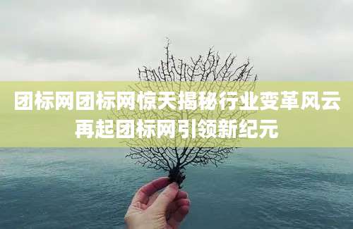 团标网团标网惊天揭秘行业变革风云再起团标网引领新纪元