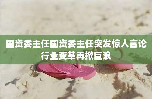 国资委主任国资委主任突发惊人言论行业变革再掀巨浪