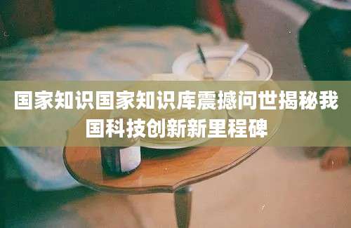 国家知识国家知识库震撼问世揭秘我国科技创新新里程碑