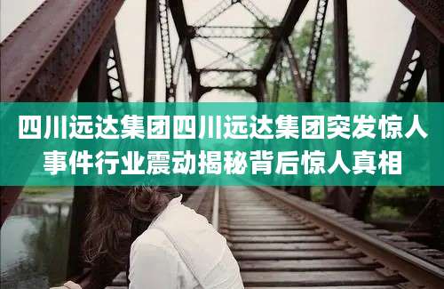 四川远达集团四川远达集团突发惊人事件行业震动揭秘背后惊人真相