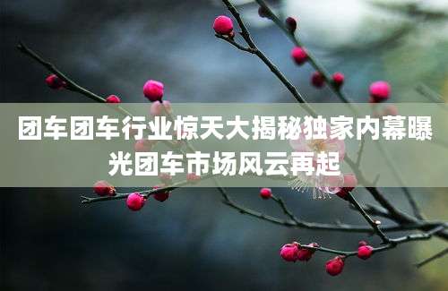 团车团车行业惊天大揭秘独家内幕曝光团车市场风云再起