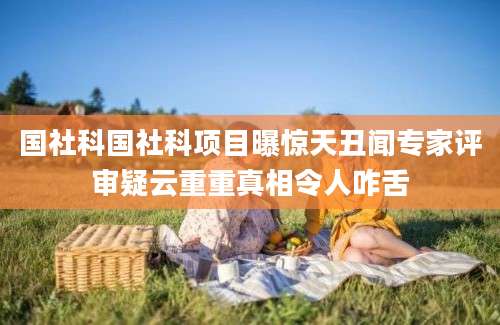 国社科国社科项目曝惊天丑闻专家评审疑云重重真相令人咋舌