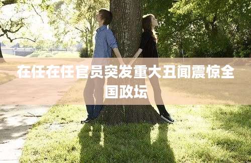 在任在任官员突发重大丑闻震惊全国政坛