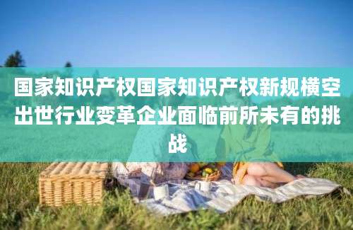 国家知识产权国家知识产权新规横空出世行业变革企业面临前所未有的挑战