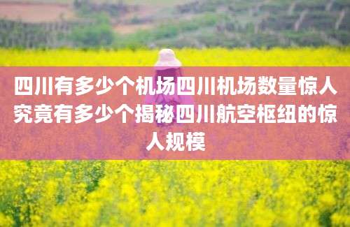 四川有多少个机场四川机场数量惊人究竟有多少个揭秘四川航空枢纽的惊人规模