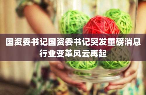 国资委书记国资委书记突发重磅消息行业变革风云再起