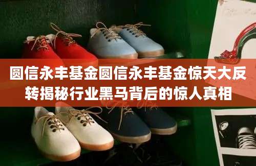圆信永丰基金圆信永丰基金惊天大反转揭秘行业黑马背后的惊人真相