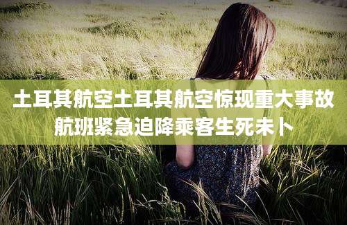 土耳其航空土耳其航空惊现重大事故航班紧急迫降乘客生死未卜