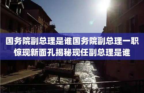 国务院副总理是谁国务院副总理一职惊现新面孔揭秘现任副总理是谁