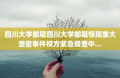 四川大学邮箱四川大学邮箱惊现重大泄密事件校方紧急调查中...