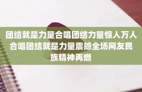 团结就是力量合唱团结力量惊人万人合唱团结就是力量震撼全场网友民族精神再燃