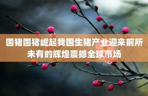 国猪国猪崛起我国生猪产业迎来前所未有的辉煌震撼全球市场