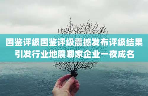 国鉴评级国鉴评级震撼发布评级结果引发行业地震哪家企业一夜成名