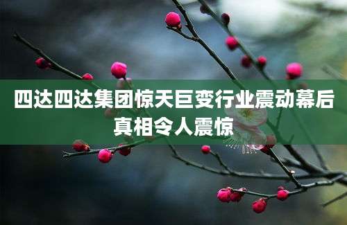 四达四达集团惊天巨变行业震动幕后真相令人震惊