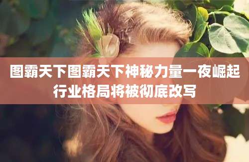 图霸天下图霸天下神秘力量一夜崛起行业格局将被彻底改写